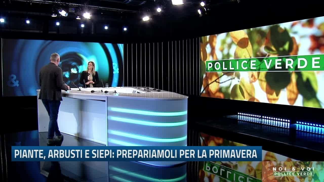 NOI&VOI POLLICE VERDE - 18.01.204