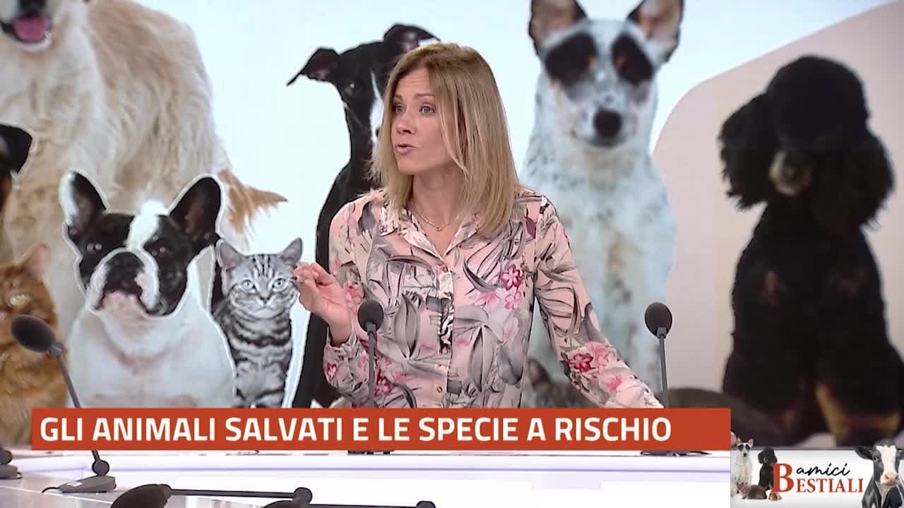 AMICI BESTIALI del 5 maggio 2025 - Animali salvati e specie a rischio