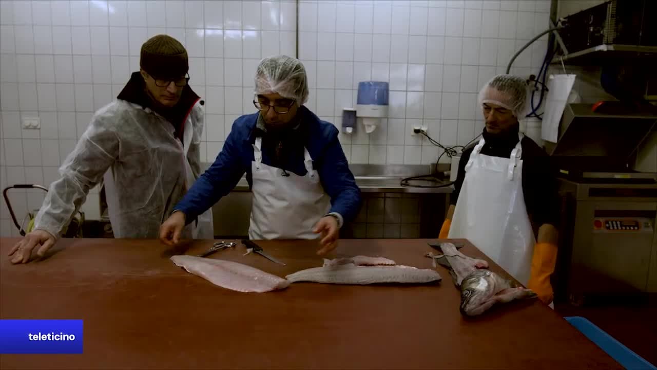 Albrici in 8 Minuti - Trancio di lucioperca, passato di verza, cialde croccanti di Prosciutto crudo Pioradoro