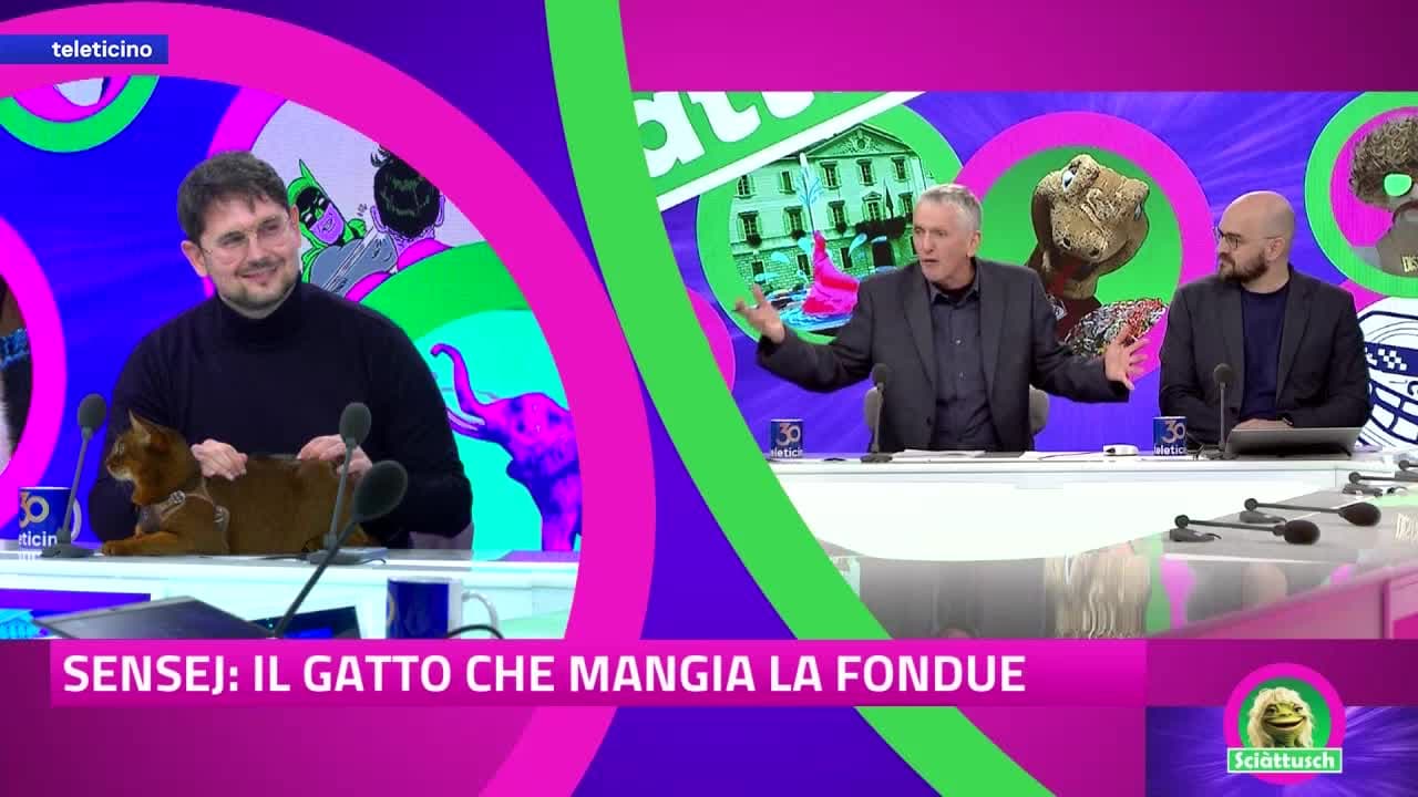 SCIÀTTUSCH del 7 dicembre 2024 -  Sensej: il gatto influencer
