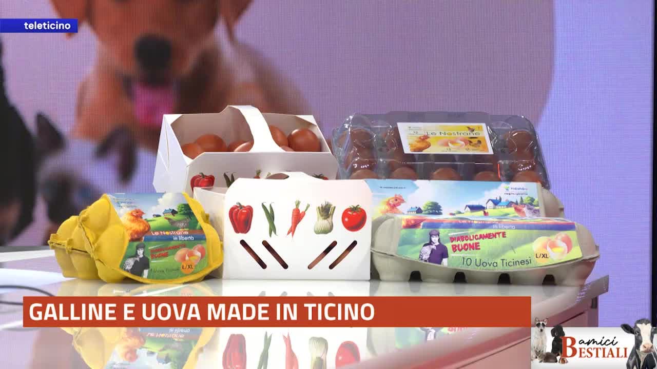Amici Bestiali del 27 ottobre 2025 - GALLINE E UOVA MADE IN TICINO
