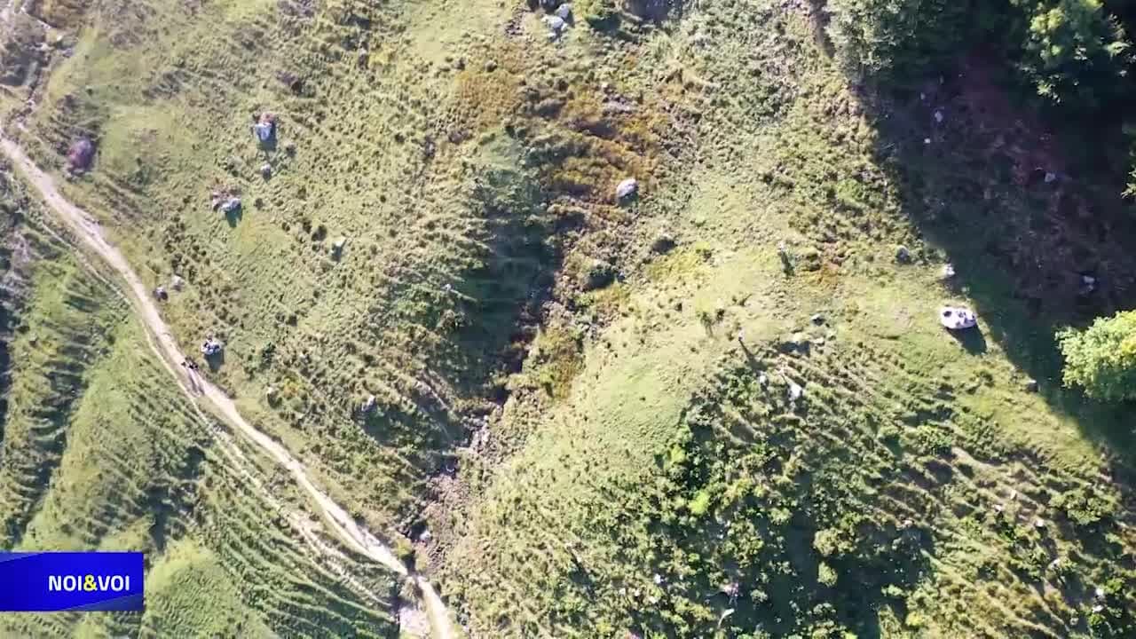 NOI & VOI - UN BEL SABAT 5.0