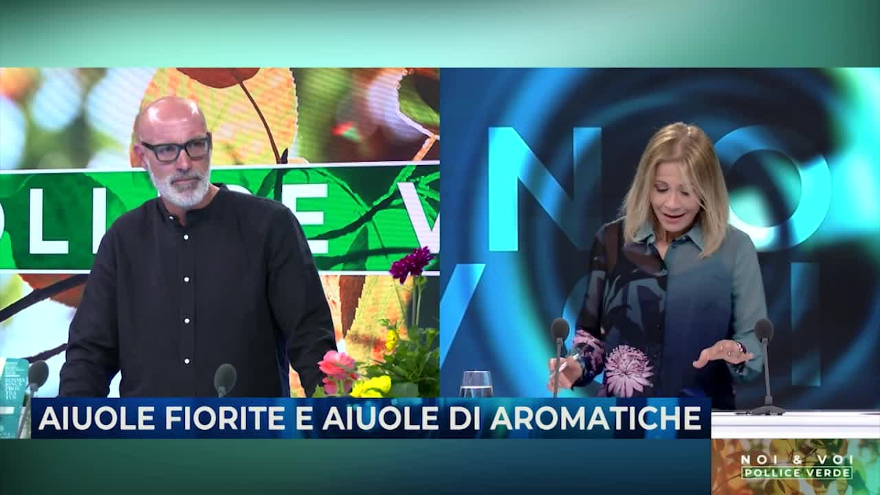 NOI&VOI - POLLICE VERDE - 16.05.24