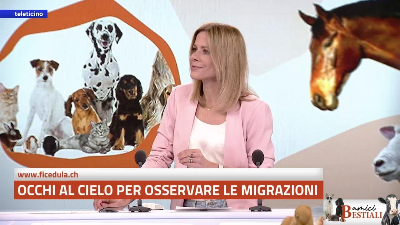 Amici Bestiali del 20 aprile 2026 - Occhi al cielo per osservare le migrazioni