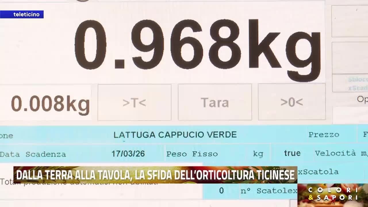 Colori & Sapori del 23 marzo 2026