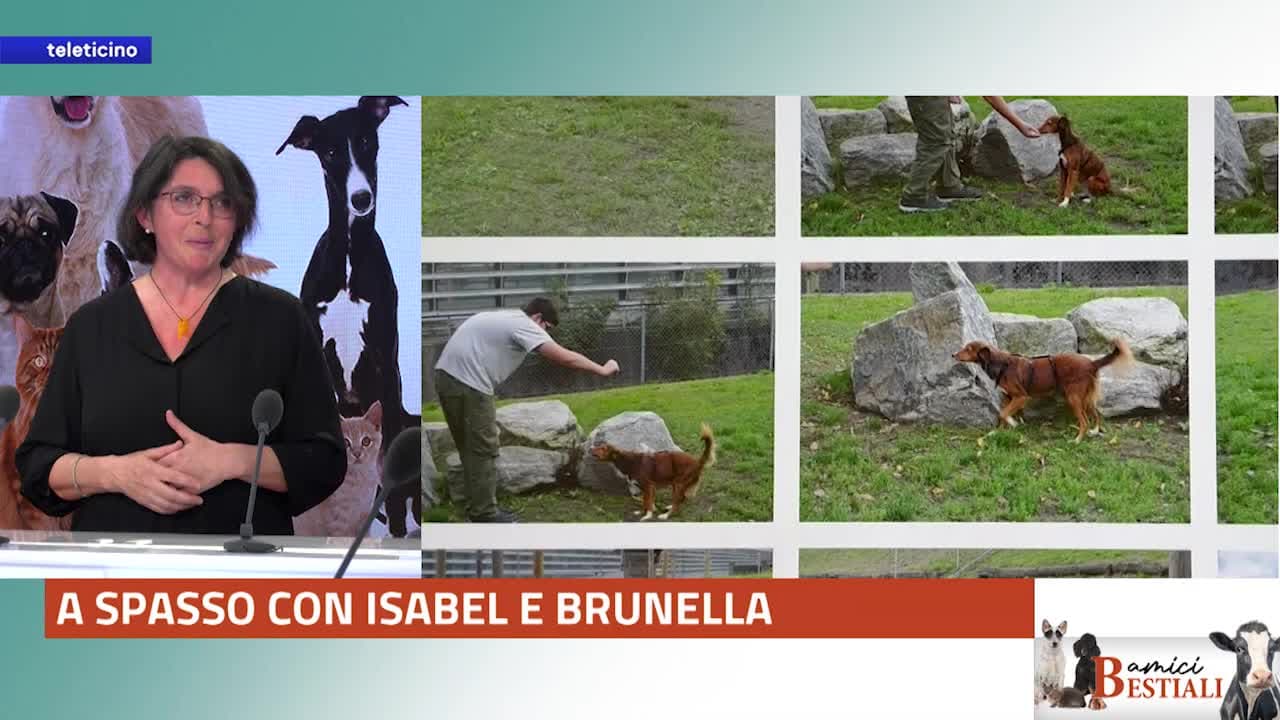 AMICI BESTIALI - A spasso con Isabel e Brunella - 24.03.25