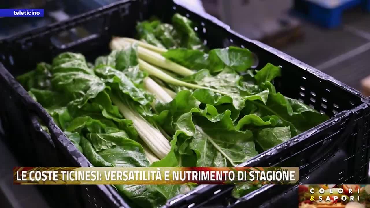 Colori&Sapori del 11 settembre 2026
