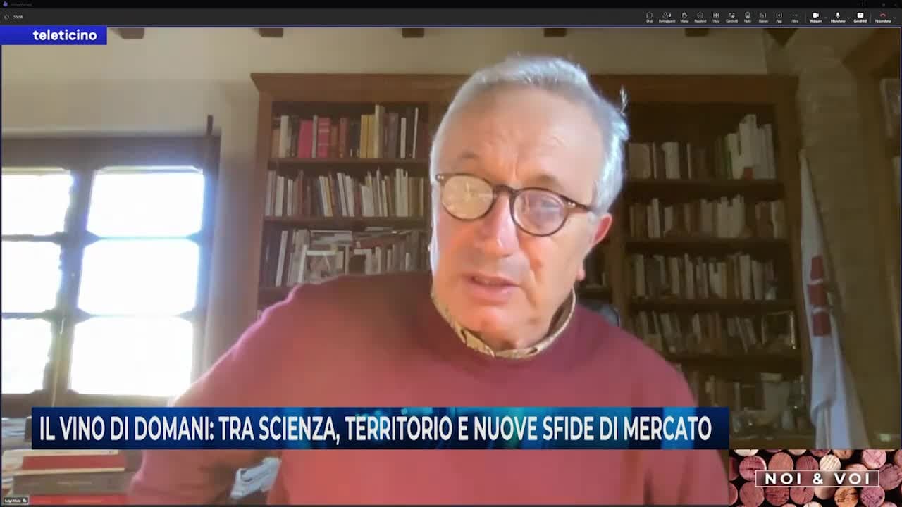 Noi & Voi - IL VINO DI DOMANI: TRA SCIENZA, TERRITORIO E NUOVE SFIDE DI MERCATI