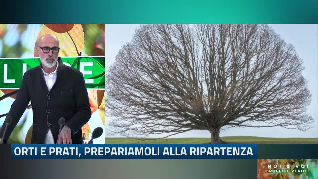 NOI&VOI POLLICE VERDE - 25.01.24