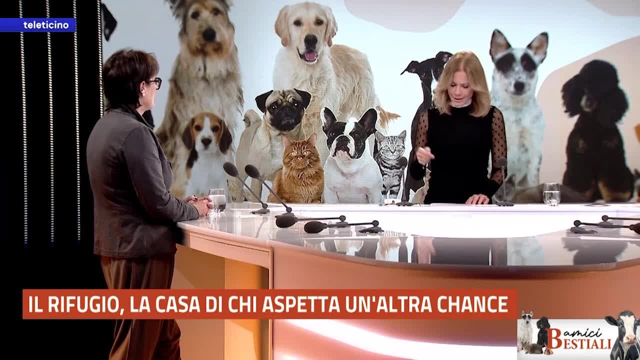 Amici Bestiali del 1 dicembre 2025 - Il rifugio e chi aspetta un’altra chance