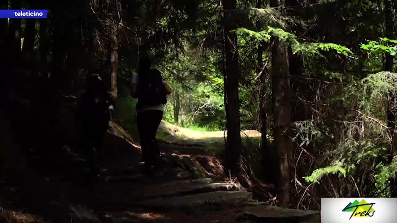 Treks del 12 agosto 2026 - Val Calanca: arte, storia e natura