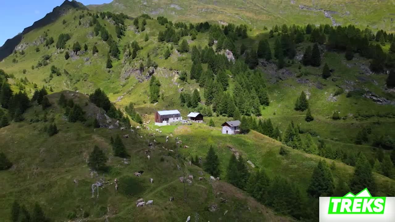 TREKS - Da Campo Blenio all’Alpe di Bovarina alla scoperta di una magnifica natura - 23.08.23