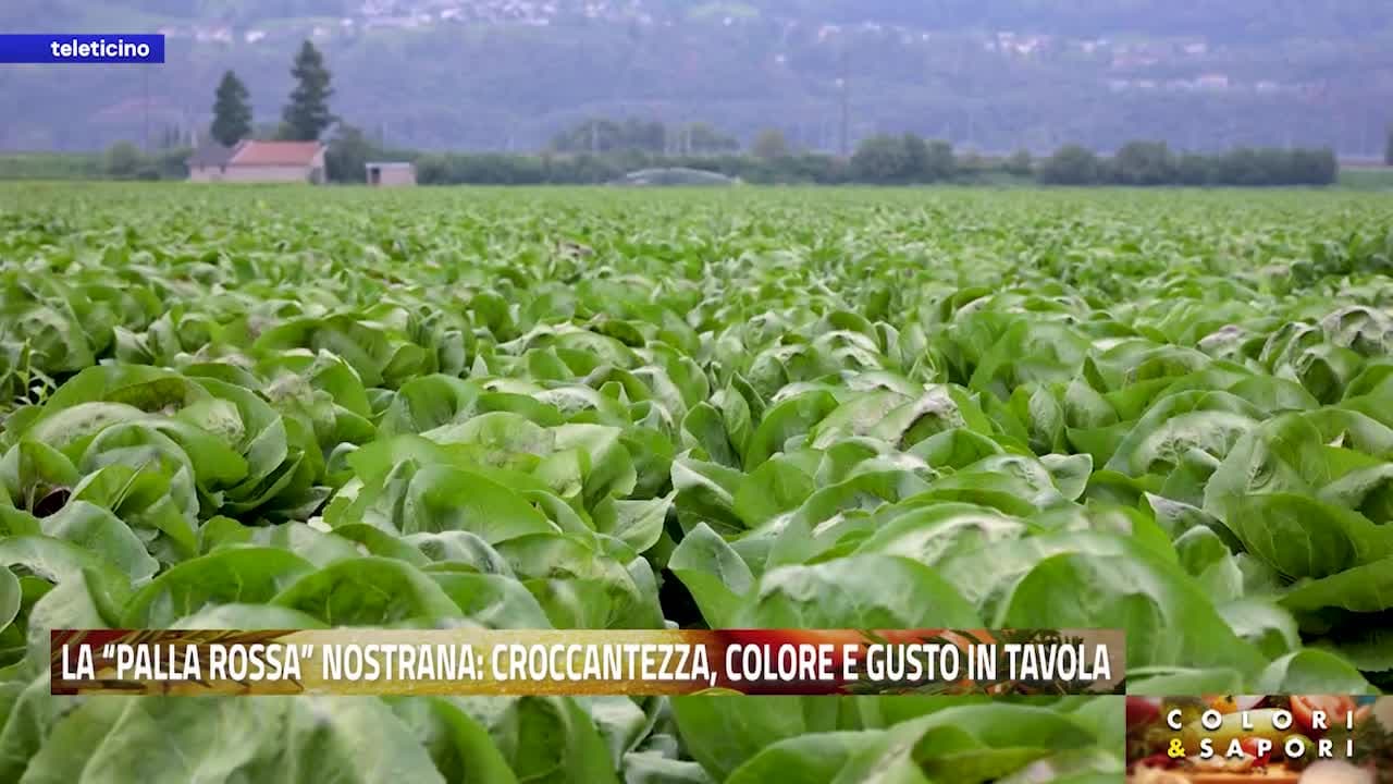 Colori & Sapori del 9 ottobre 2026