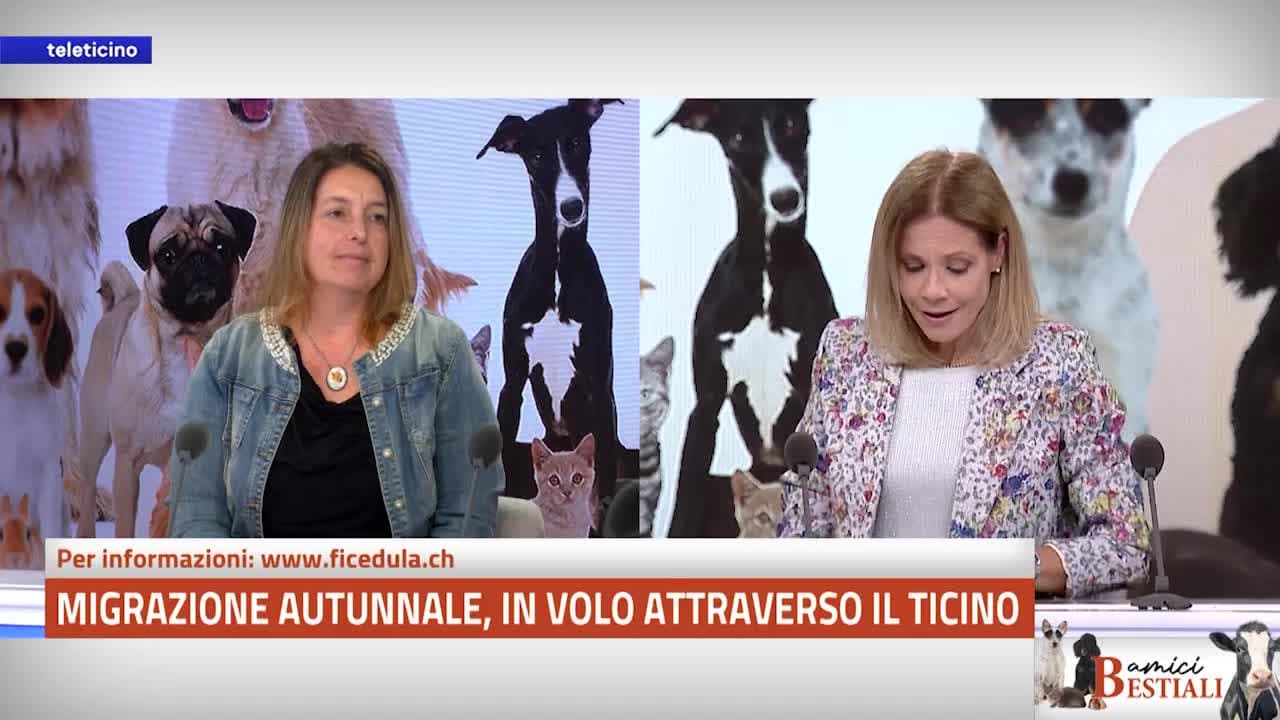 Amici Bestiali del 29 settembre 2025 - MIGRAZIONE AUTUNNALE, IN VOLO ATTRAVERSO IL TICINO