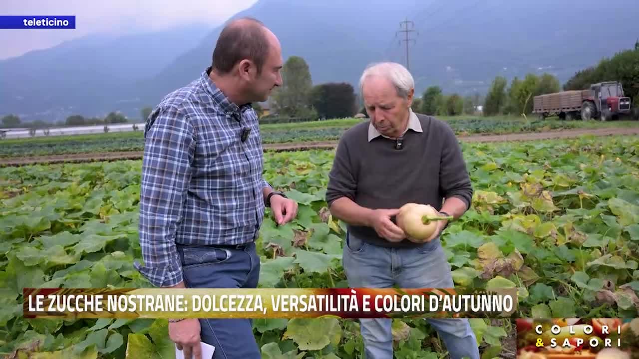 Colori & Sapori del 8 ottobre 2026