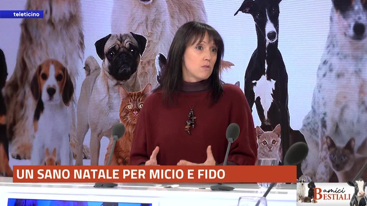 Amici Bestiali del 8 dicembre 2025 - Un sano Natale per Micio e Fido