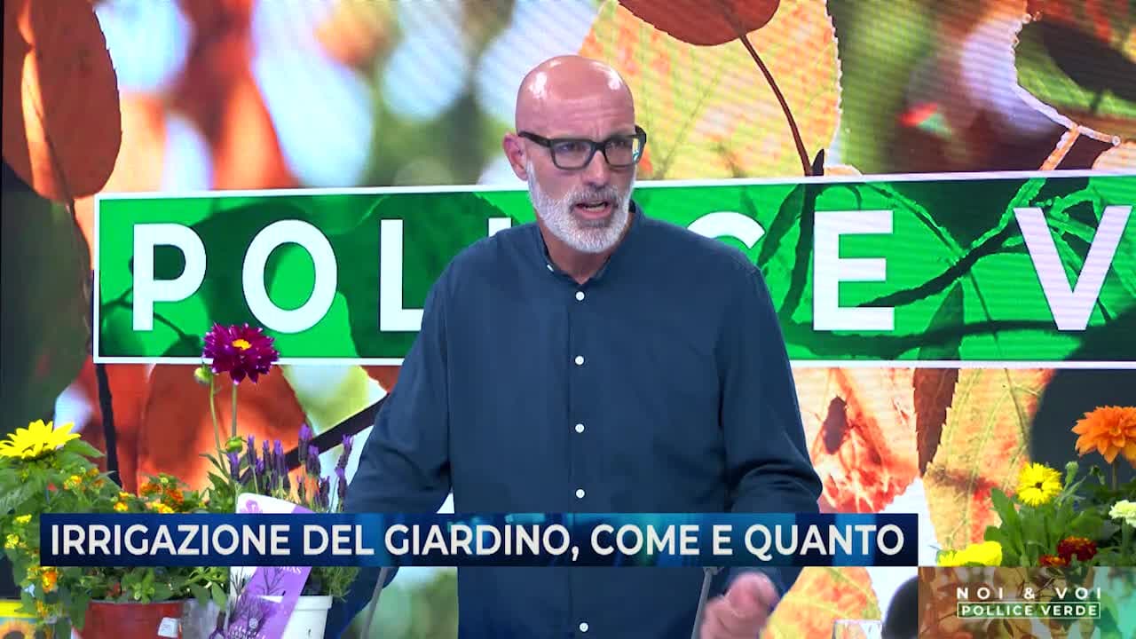 NOI&VOI - POLLICE VERDE - 06.06.24