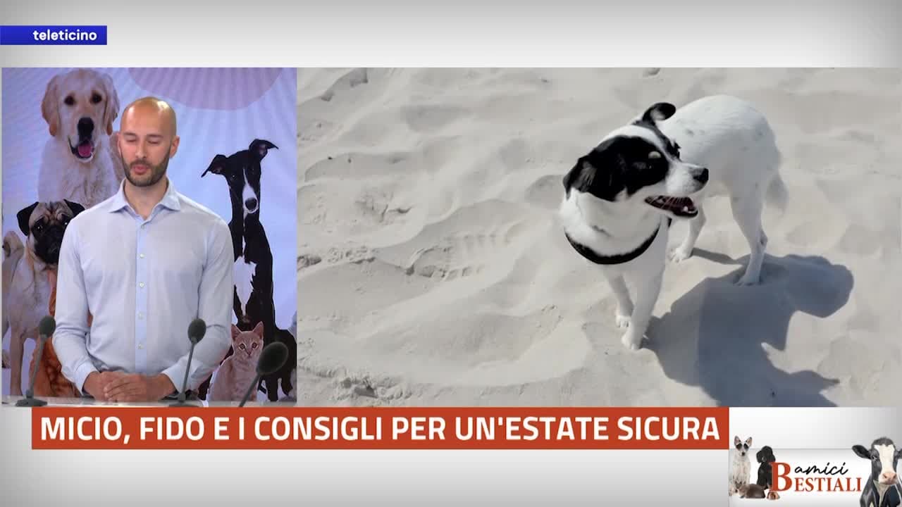 Amici Bestiali del 16 giugno 2025 - CONSIGLI PER UN’ESTATE SICURA