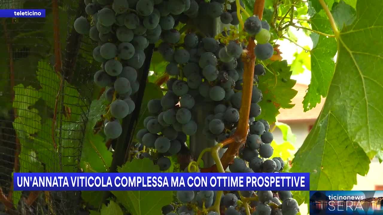 Ticinonews SERA del 20 agosto 2026