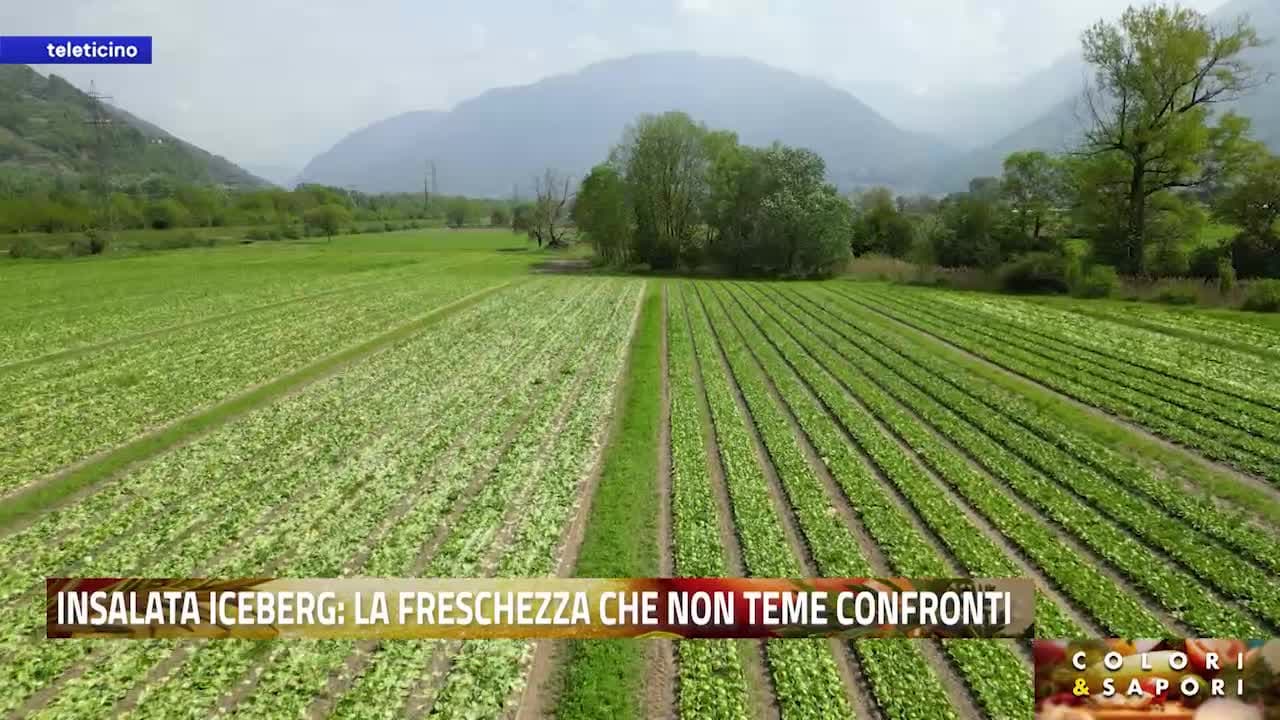Colori & Sapori del 29 aprile 2026