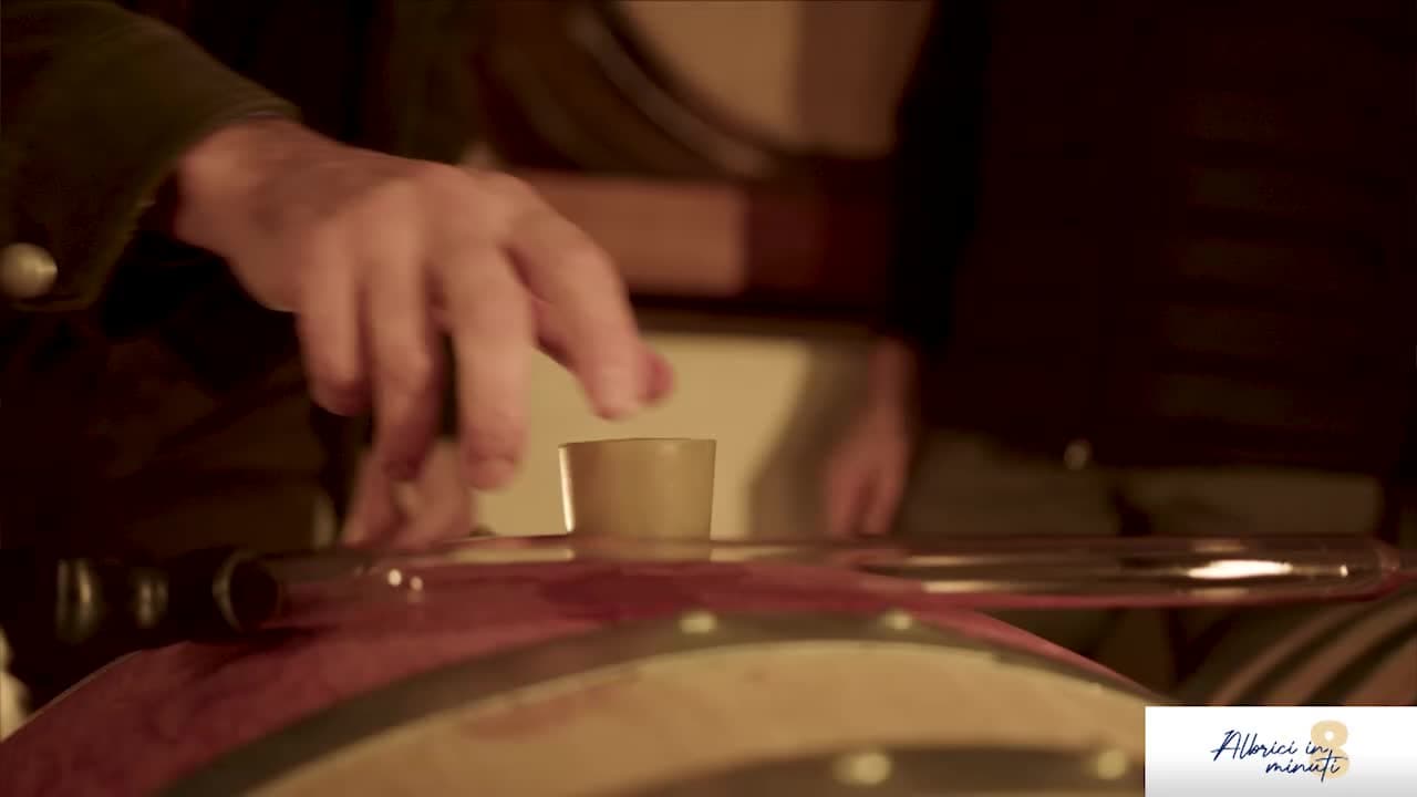 Albrici in 8 minuti - Vino ticinese in cucina