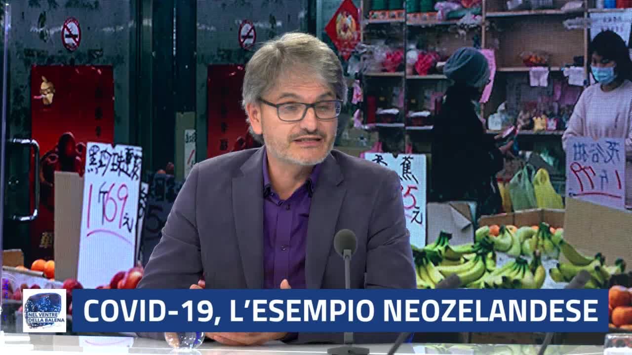 Nel ventre della balena - 11.11.20