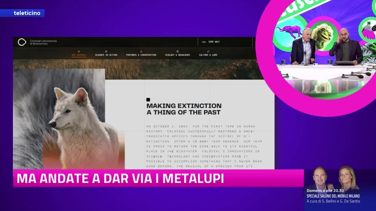 SCIÀTTUSCH del 12 aprile 2025 - Zohra e il Mercoledrag