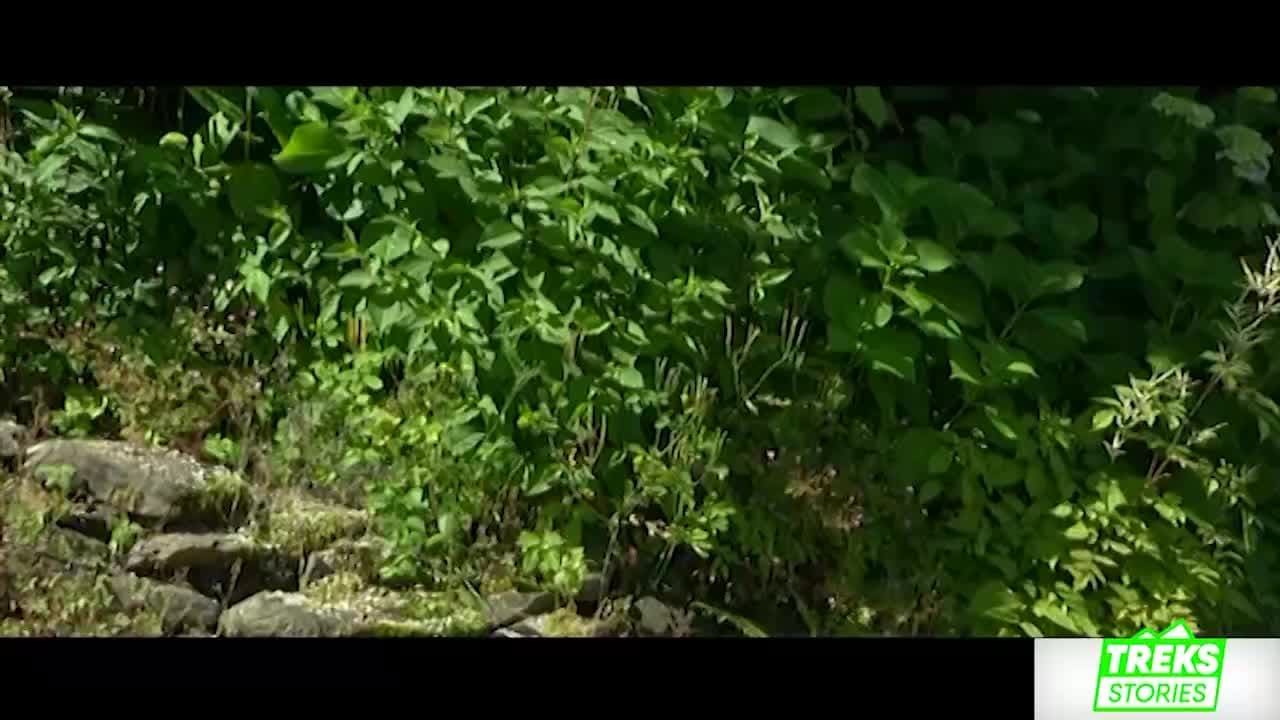 Treks Stories -  VALLE DI BLENIO: GLI AMICI DEL NARA E GAMBAROGNO: TRA MONTI E LAGO