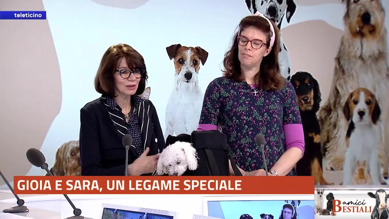 AMICI BESTIALI del 7 aprile 2025 - Gioia e Sara, un legame speciale