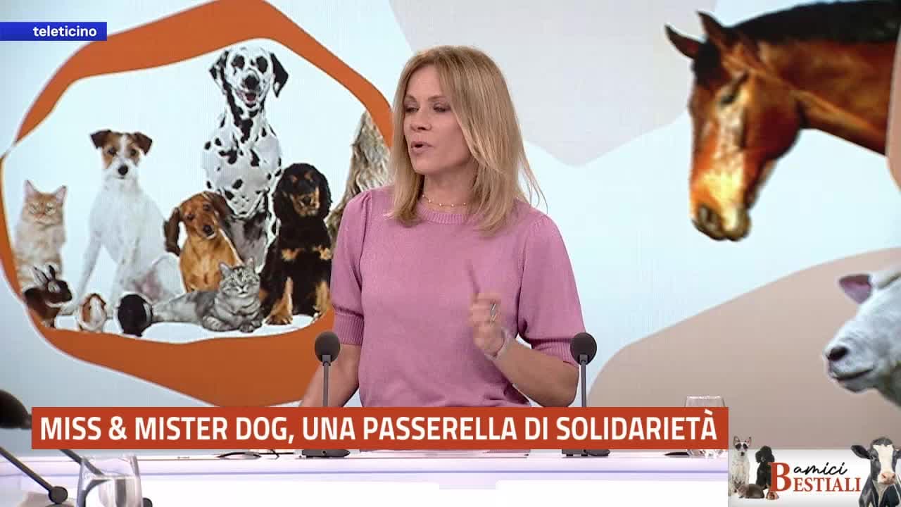 Amici Bestiali del 11 maggio 2026 - MISS&MISTER DOG, UNA PASSERELLA DI SOLIDARIETÀ