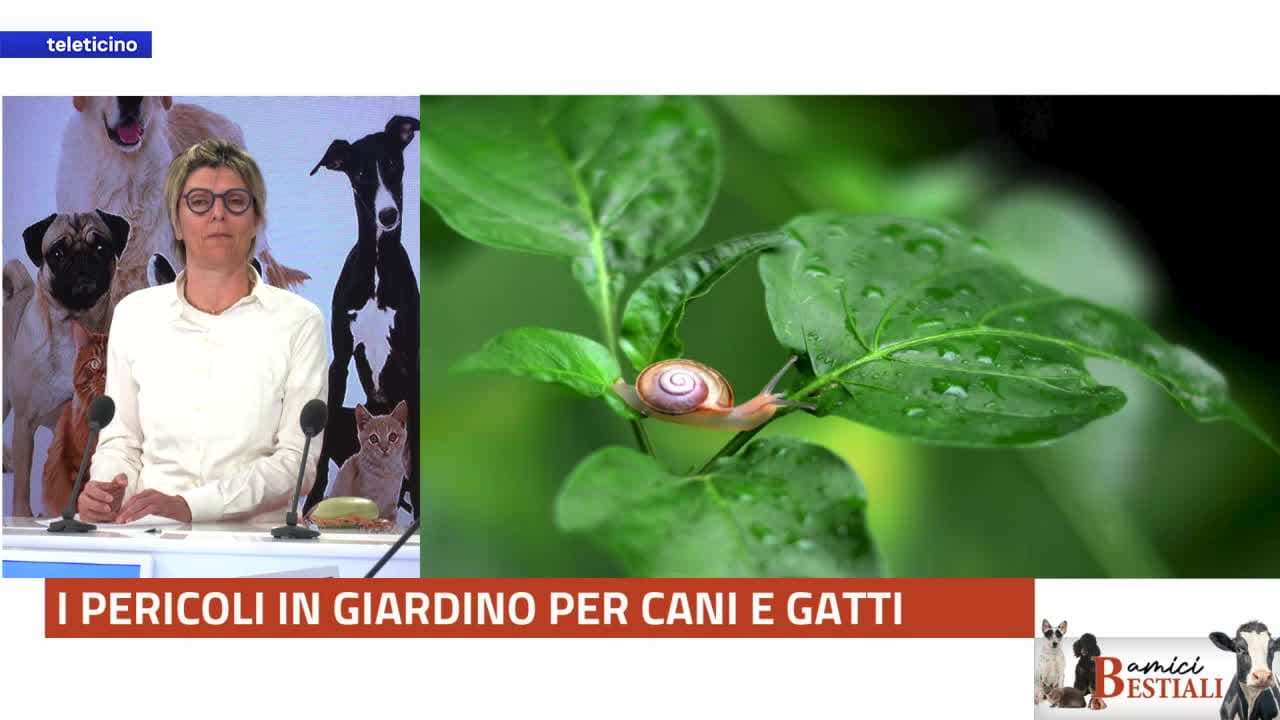 Amici Bestiali del 4 maggio 2026 - I PERICOLI IN GIARDINO PER CANI E GATTI