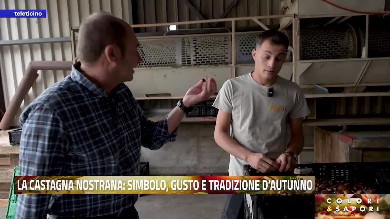 Colori & Sapori del 6 ottobre 2026