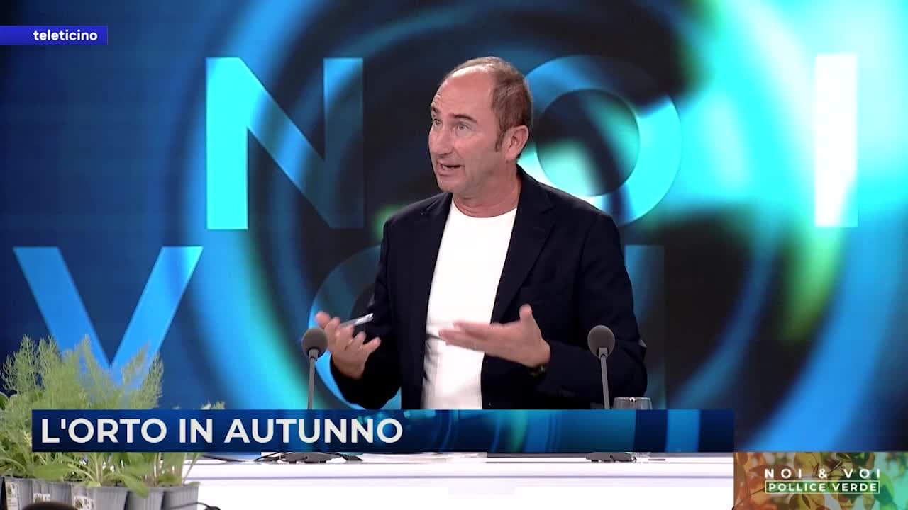 NOI&VOI - POLLICE VERDE - 03.09.24