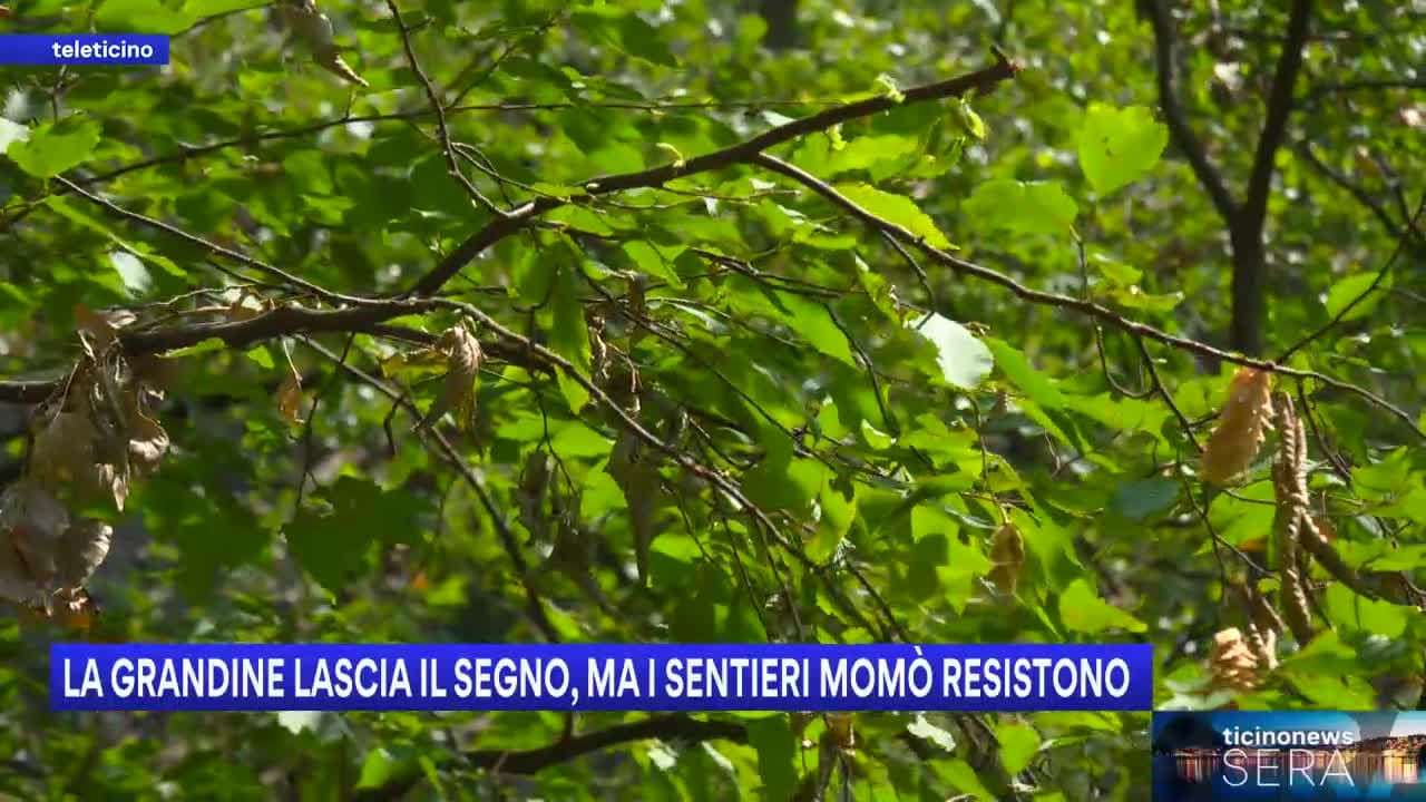 Ticinonews SERA del 26 giugno 2026