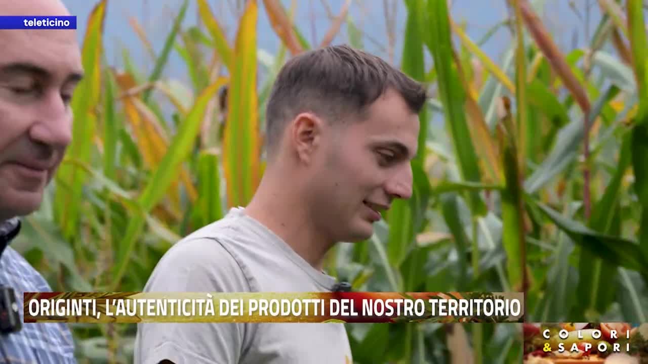 COLORI&SAPORI del 5 ottobre 2026