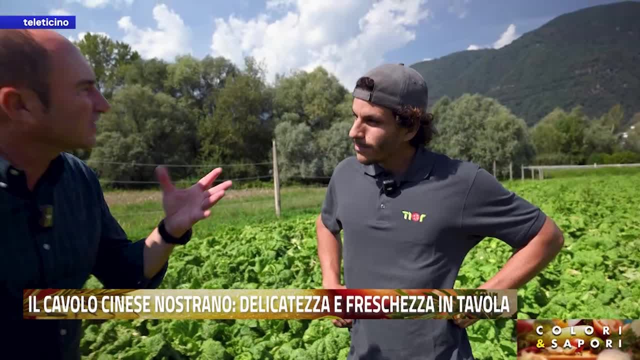 Colori&Sapori del 10 settembre 2026