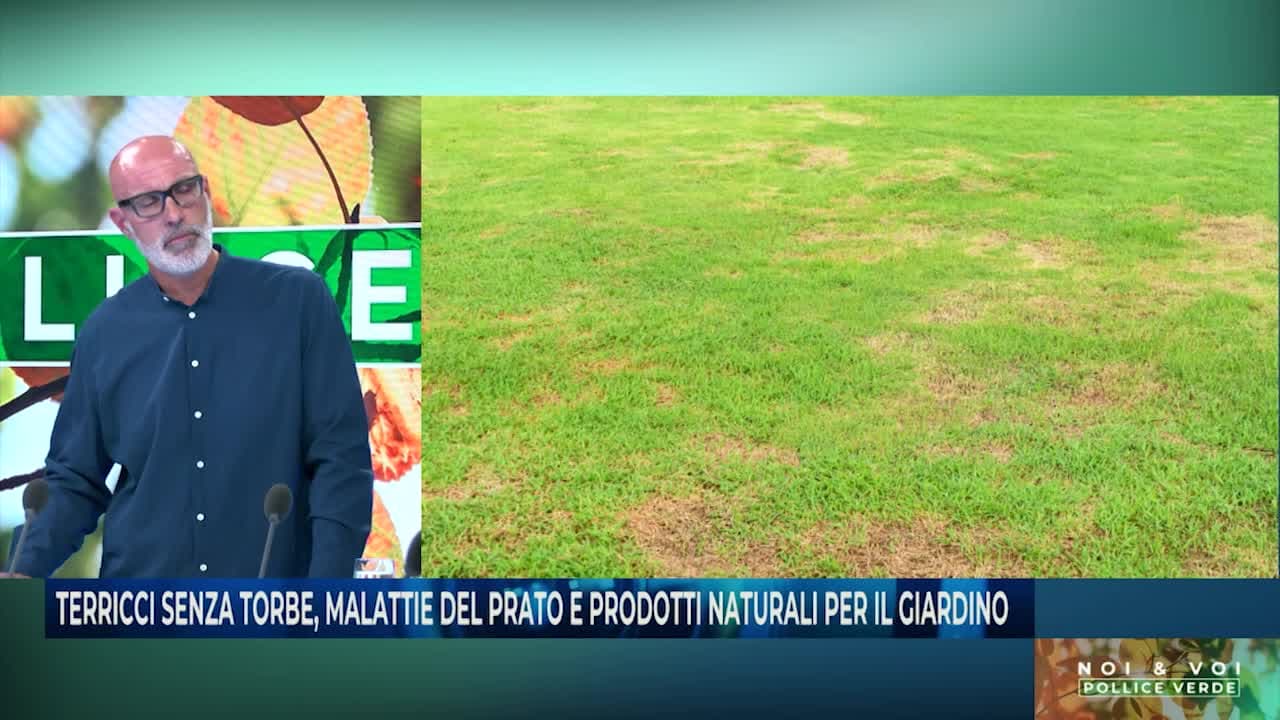 NOI&VOI - POLLICE VERDE - 23.05.24