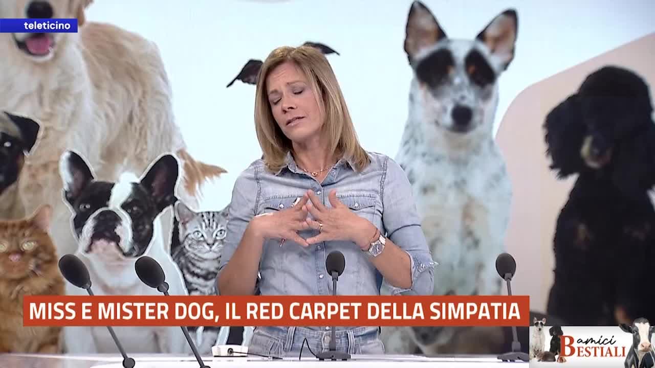 AMICI BESTIALI del 12 maggio 2025 - MISS E MISTER DOG, IL RED CARPET DELLA SIMPATIA