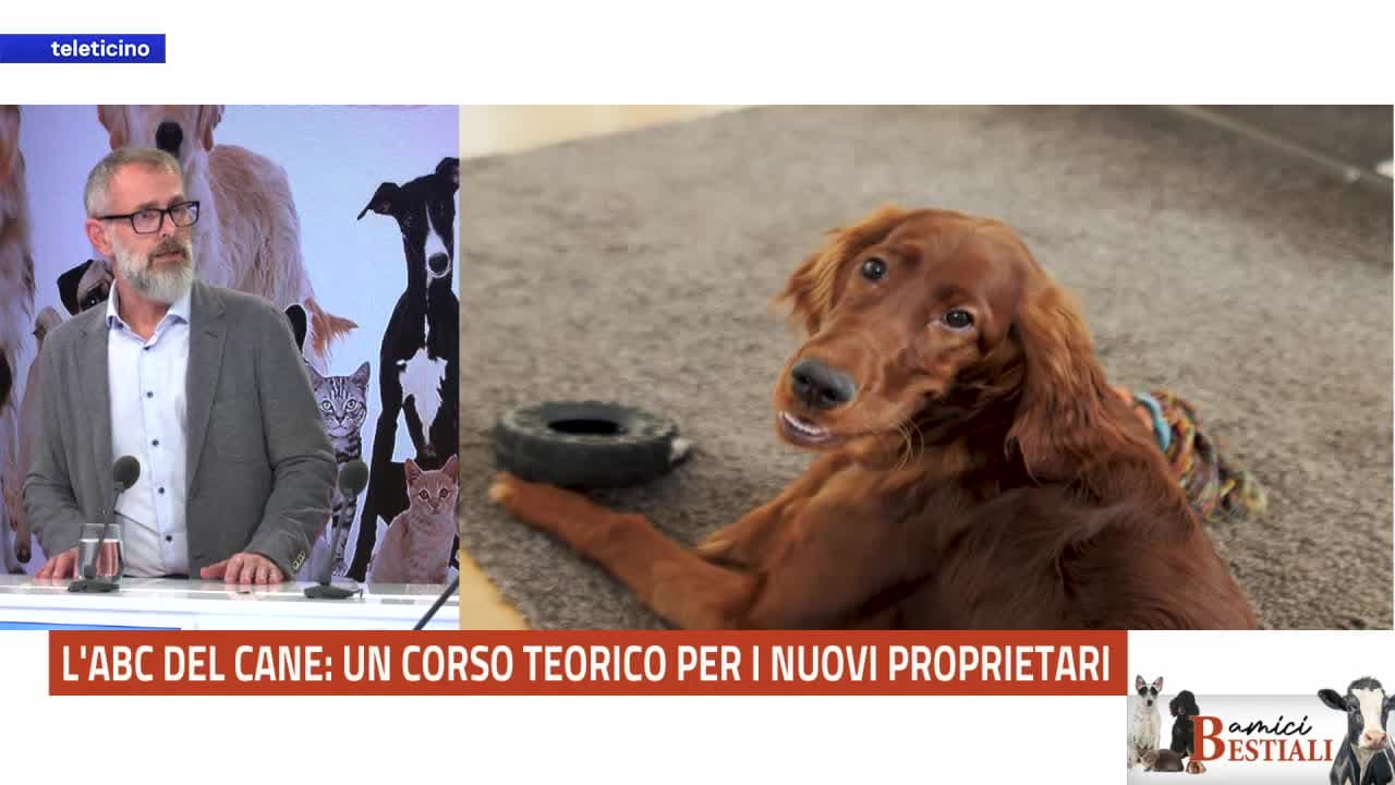 Amici Bestiali del 31 agosto 2026 - AL VIA IL NUOVO CORSO OBBLIGATORIO