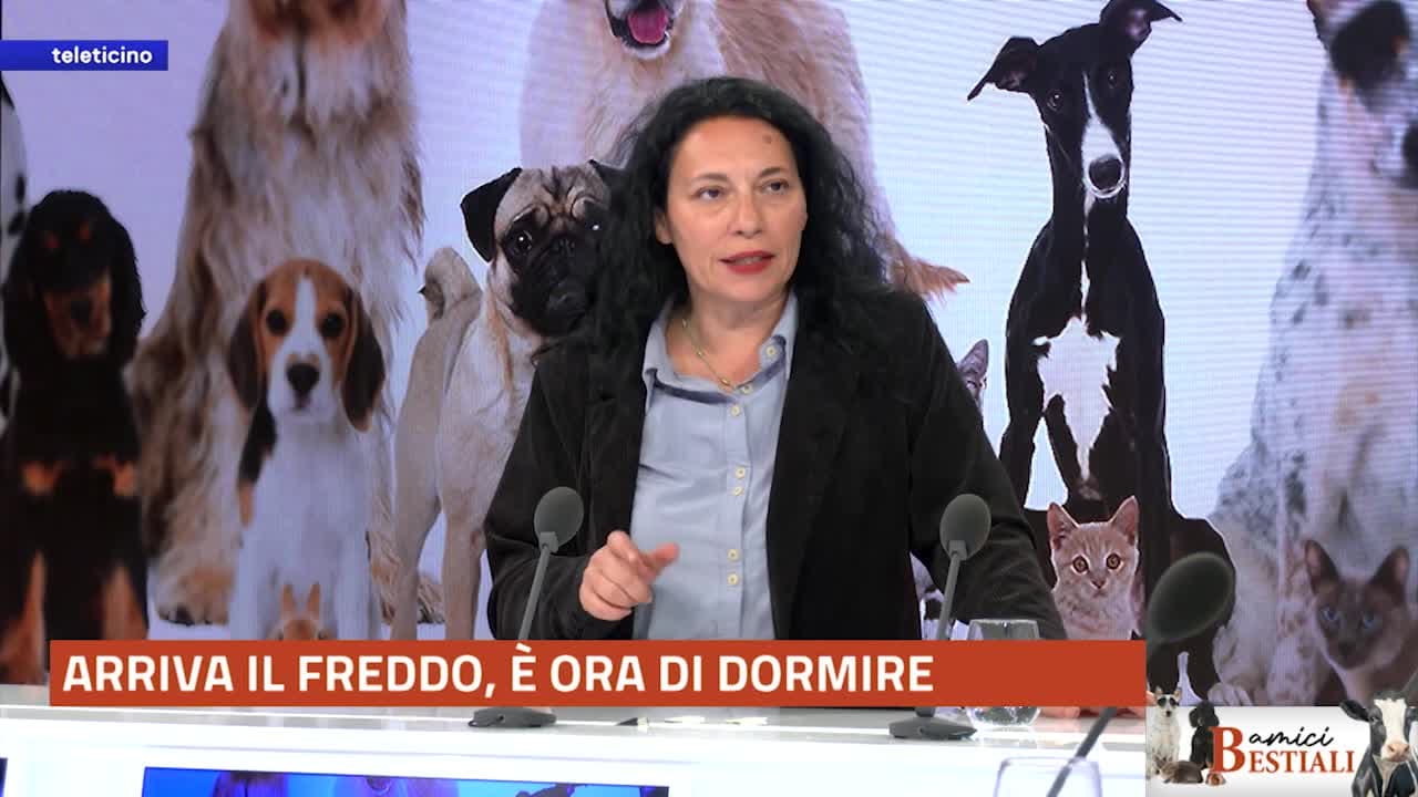 Amici Bestiali del 10 novembre 2025 - ARRIVA IL FREDDO, SI DORME!