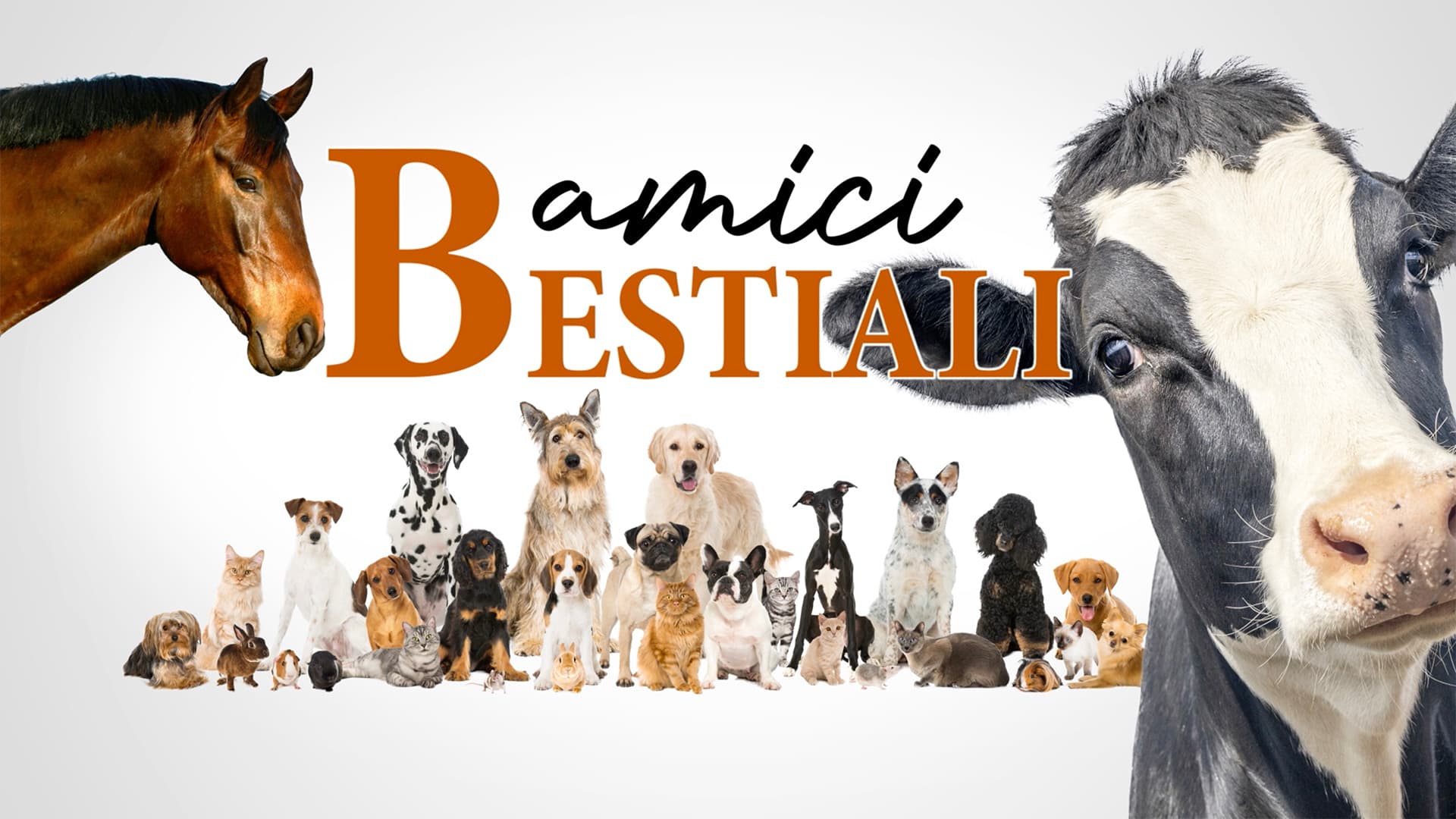 Amici bestiali