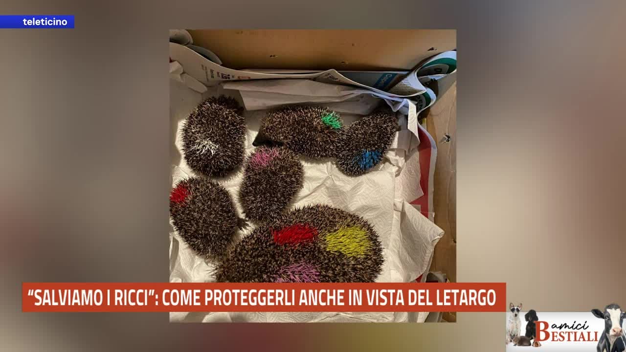 Amici bestiali del 21 settembre 2026 - SALVIAMO I RICCI