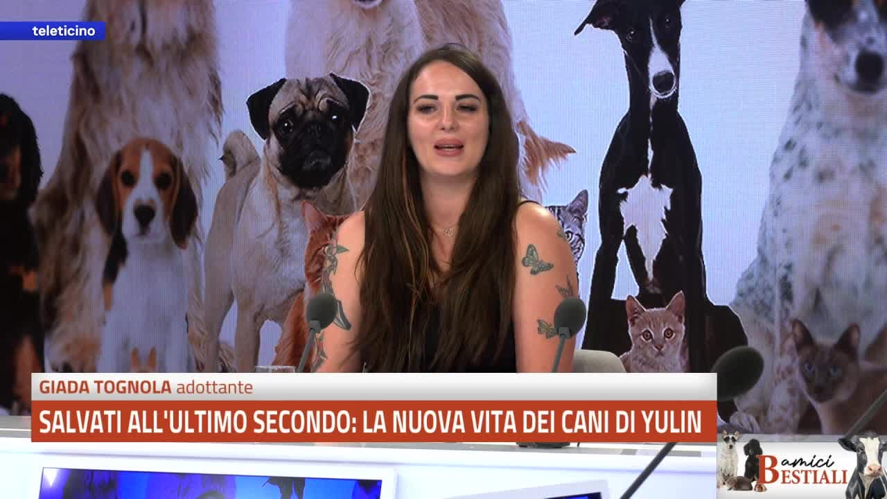 Amici Bestiali del 14 settembre 2026 - SALVATI ALL’ULTIMO SECONDO