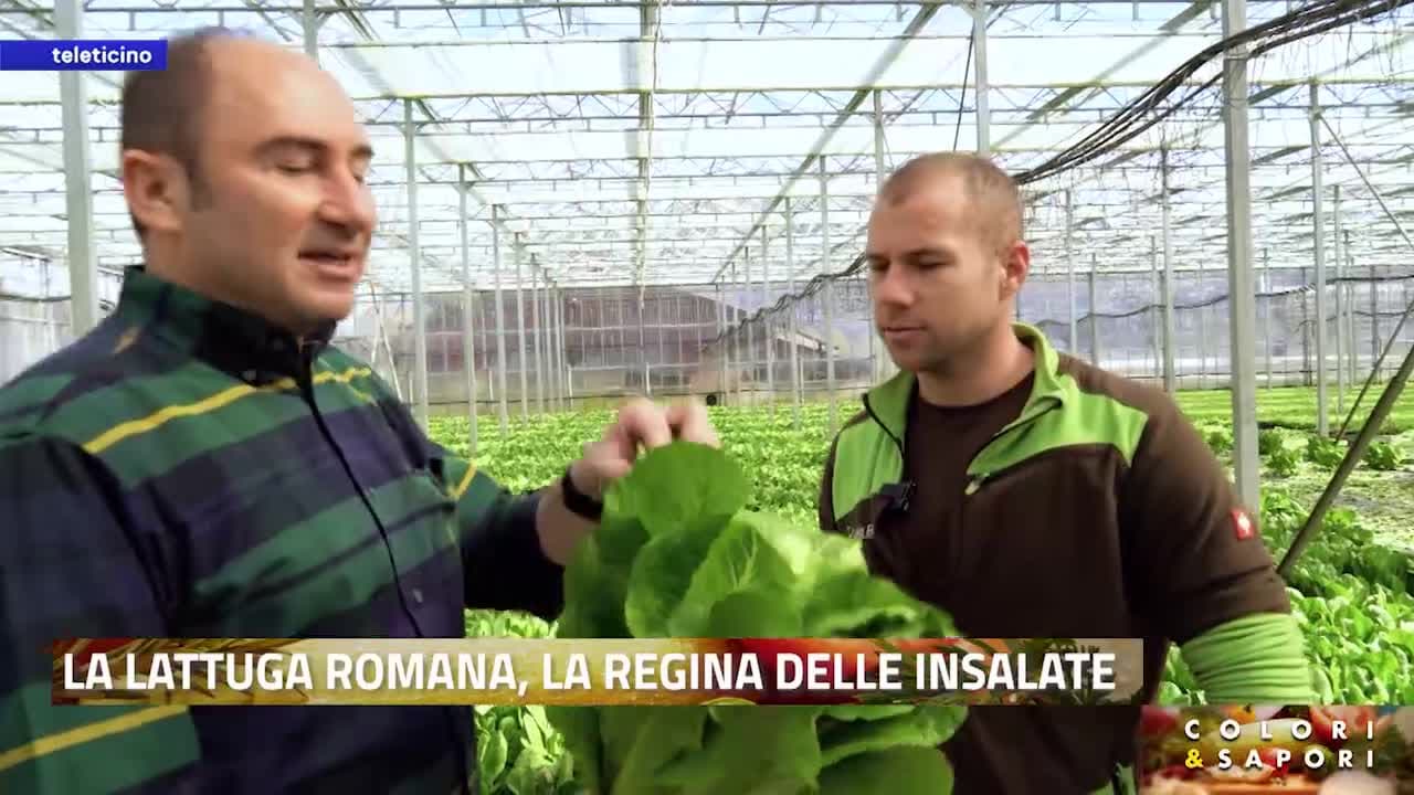 Colori e Sapori del 27 marzo 2026