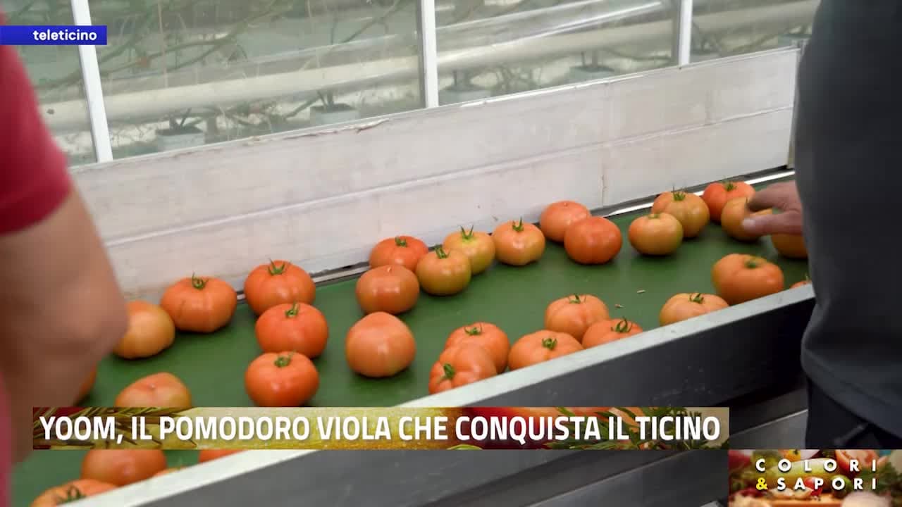 Colori&Sapori del 26 maggio 2026