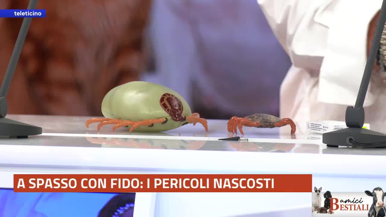 Amici Bestiali - A spasso nel bosco con Fido
