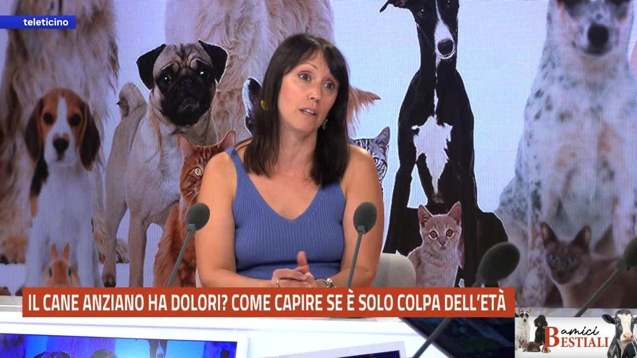 Amici bestiali del 5 ottobre 2026 - I DOLORI DEL CANE: VECCHIAIA O MALATTIA?