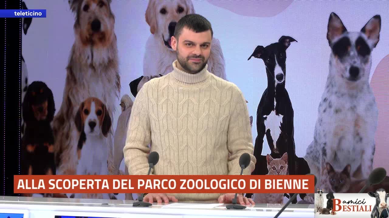 AMICI BESTIALI del 23 febbraio 2026 - Alla scoperta dello zoo di Bienne